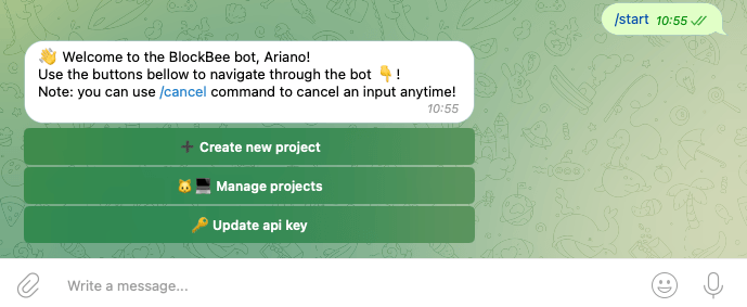 Telegram Bot Creation Process