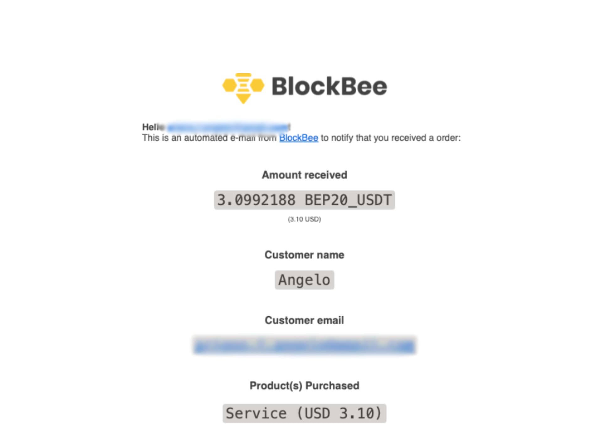 Example Storefront Email